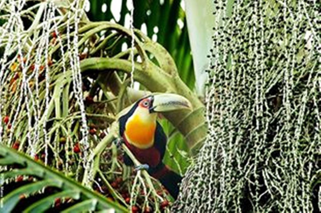 Pousada Montemar Ilhabela Exteriér fotografie